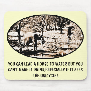 Funny idiom muismat