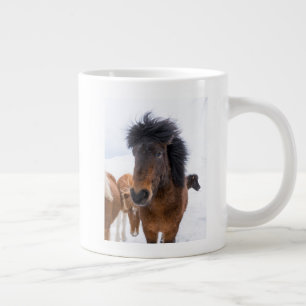 Funny IJslandse paardenportret Grote Koffiekop