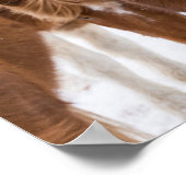 Funny IJslandse paardenportret Poster (Hoek)