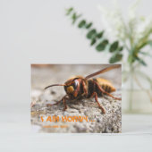 Funny insect hornet slogan postcard briefkaart (Staand voorkant)
