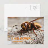 Funny insect hornet slogan postcard briefkaart (Voorkant / Achterkant)
