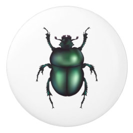 Funny Insect  Keramische Knop