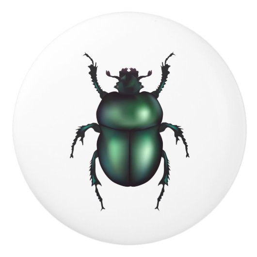 Funny Insect  Keramische Knop (Voorkant)