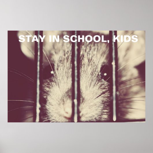 Funny Inspirerend Rat Poster (Voorkant)