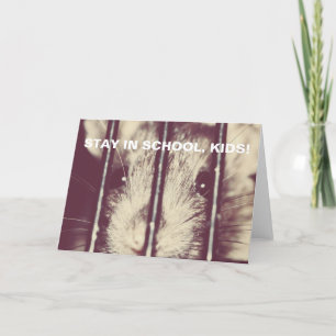 Funny Inspiron Rat in Prison Kaart