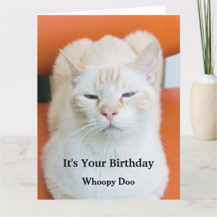 Funny Insulting Sarcastic Cat Birthday Card Kaart