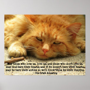 Funny Irish Blessing with Smiling Kat Poster