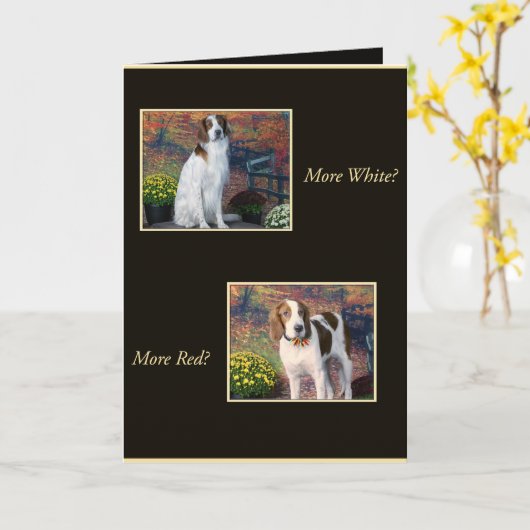Funny Irish Red and White Setter Birthday Card Kaart (Gele Bloem)