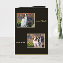 Funny Irish Red and White Setter Birthday Card Kaart