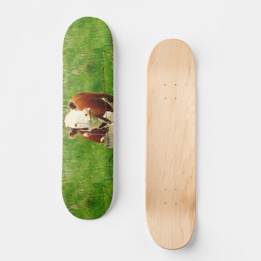 Funny Ironic Koe 4André Skateboard (Voorkant)