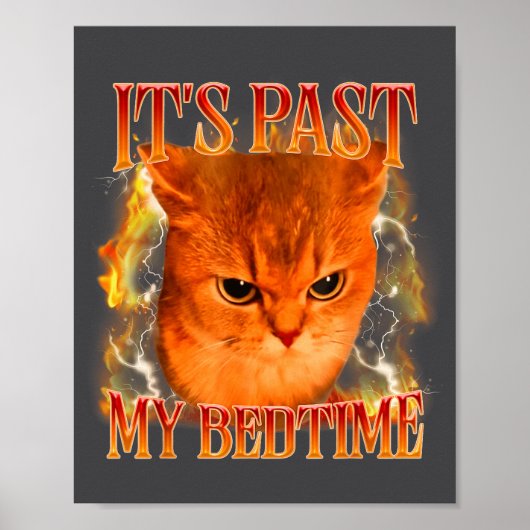 Funny It's Past My Bedtime Cat Meme Animals Humor Poster (Voorkant)
