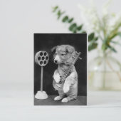 Funny JACK RUSSELL Terrier dog speelt banjo Briefkaart (Staand voorkant)