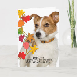 Funny Jack Russell-Thanksgiving Feestdagen Kaart