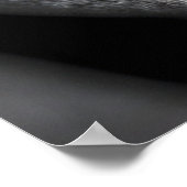 Funny Joe Biden , Monkey Planet , Ape Face Poster (Hoek)