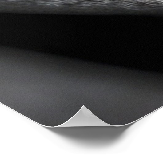 Funny Joe Biden , Monkey Planet , Ape Face Poster (Hoek)