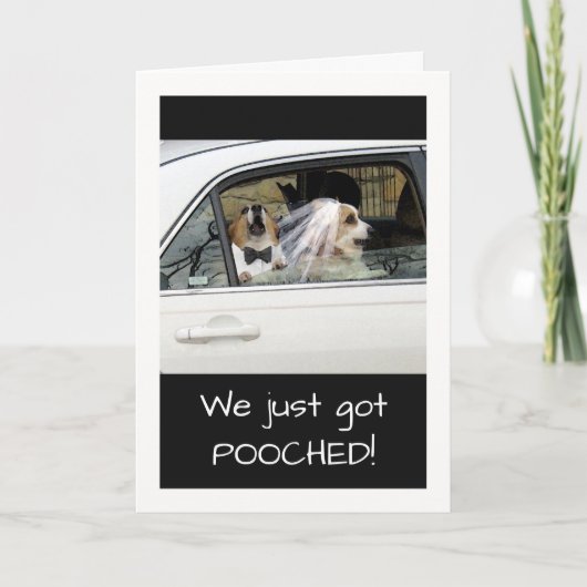Funny Just Pooched of Just Married Announcement Kaart (Voorkant)