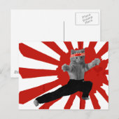 Funny Karate Kitten cadeautjes Briefkaart (Voorkant / Achterkant)