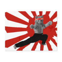 Funny Karate Kitten cadeautjes