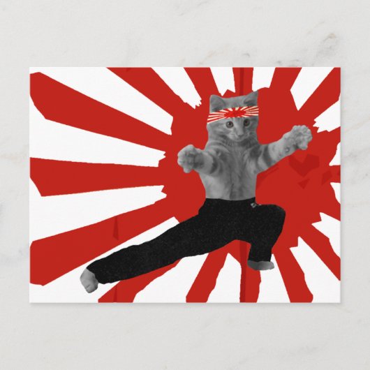 Funny Karate Kitten cadeautjes Briefkaart (Voorkant)