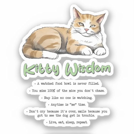 Funny Kat Wisdom Sticker (Voorkant)