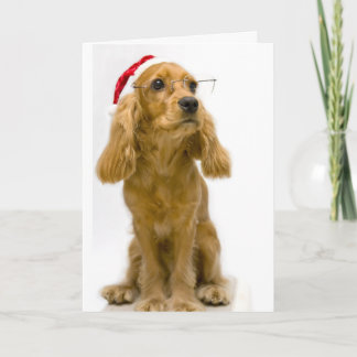 Funny kerstkaart feestdagen kaart