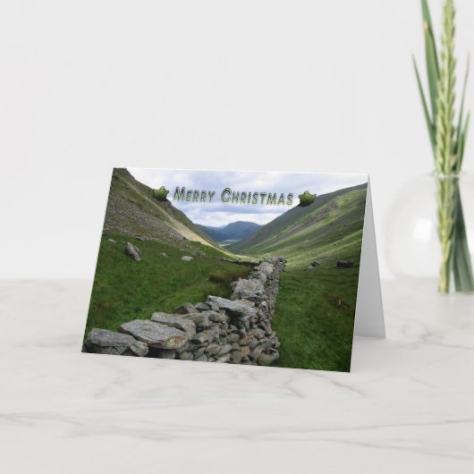 Funny kerstkaart feestdagen kaart (Voorkant)