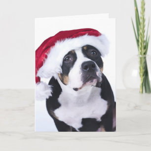 Funny kerstkaart feestdagen kaart