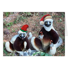 Funny Kerstlemurs Wenskaart