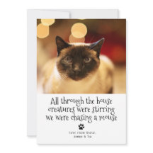 Funny Kerstmis met een kat