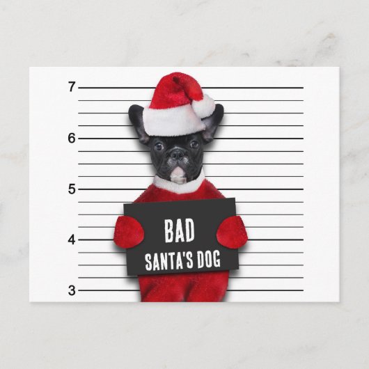 Funny Kerstmis Mugshot Bad Santa's Dog Feestdagenkaart (Voorkant)