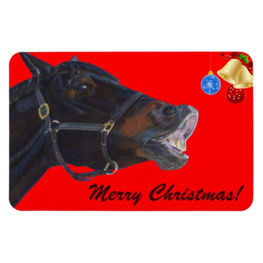 Funny Kerstmis Premium Flexi Magnet Magneet (Horizontaal)