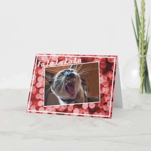 Funny Kerstsong Singing Siamese Kitten Photo Feestdagen Kaart (Voorkant)