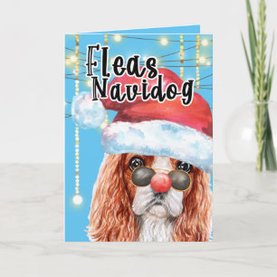 Funny King Charles spaniel kerstvas navidog Kaart