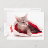 Funny kitten a cap of Santa Claus Feestdagenkaart (Voorkant / Achterkant)
