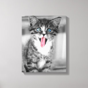 Funny Kitten Canvas Afdruk