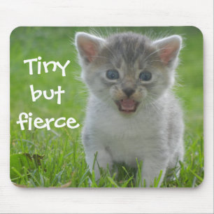 Funny Kitten Caption Tiny maar Fierce Muismat