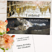 Funny Kitten Cheers Birthday Briefkaart