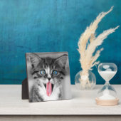 Funny Kitten Fotoplaat (Insitu)