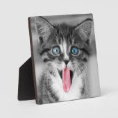 Funny Kitten Fotoplaat (Voorkant)
