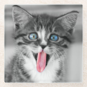 Funny Kitten Glazen Onderzetter