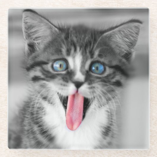 Funny Kitten Glazen Onderzetter (Voorkant)