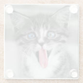 Funny Kitten Glazen Onderzetter (Achterkant)