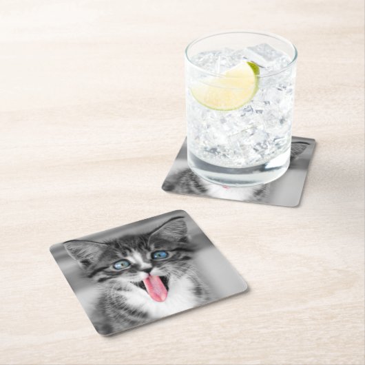 Funny Kitten Kartonnen Onderzetters (Insitu)