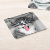 Funny Kitten Kartonnen Onderzetters (Schuin)