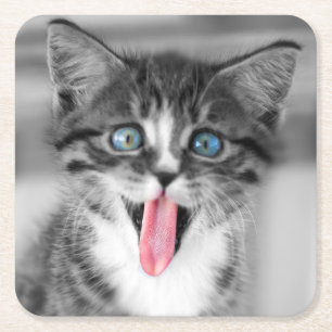 Funny Kitten Kartonnen Onderzetters