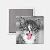 Funny Kitten Magneet (Voorkant / Achterkant)