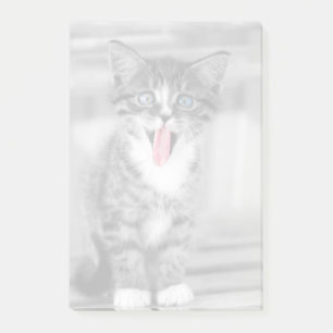 Funny Kitten Post-it® Notes