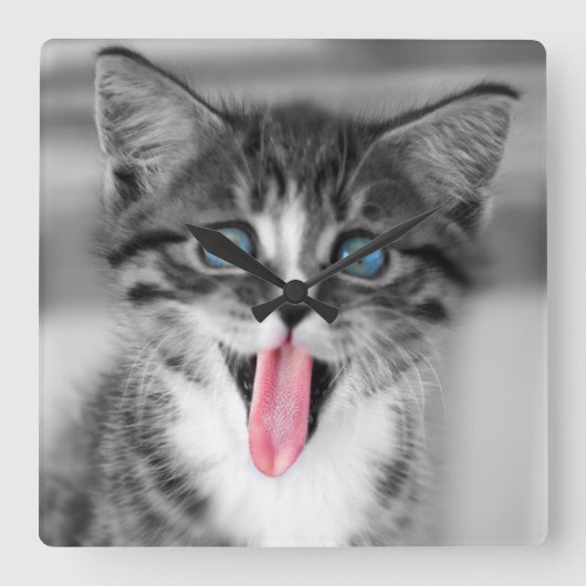 Funny Kitten Vierkante Klok (Voorkant)