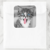 Funny Kitten Vierkante Sticker (Tas)