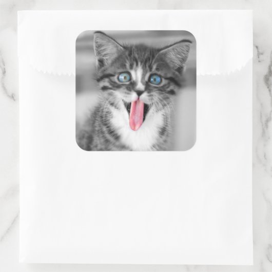 Funny Kitten Vierkante Sticker (Tas)